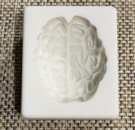 Brain mold